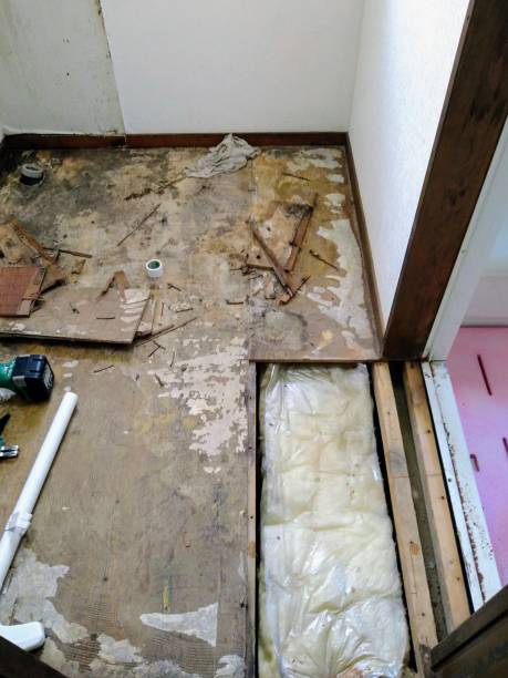 istock Close-up of bathroom floor during renovation 1772420292