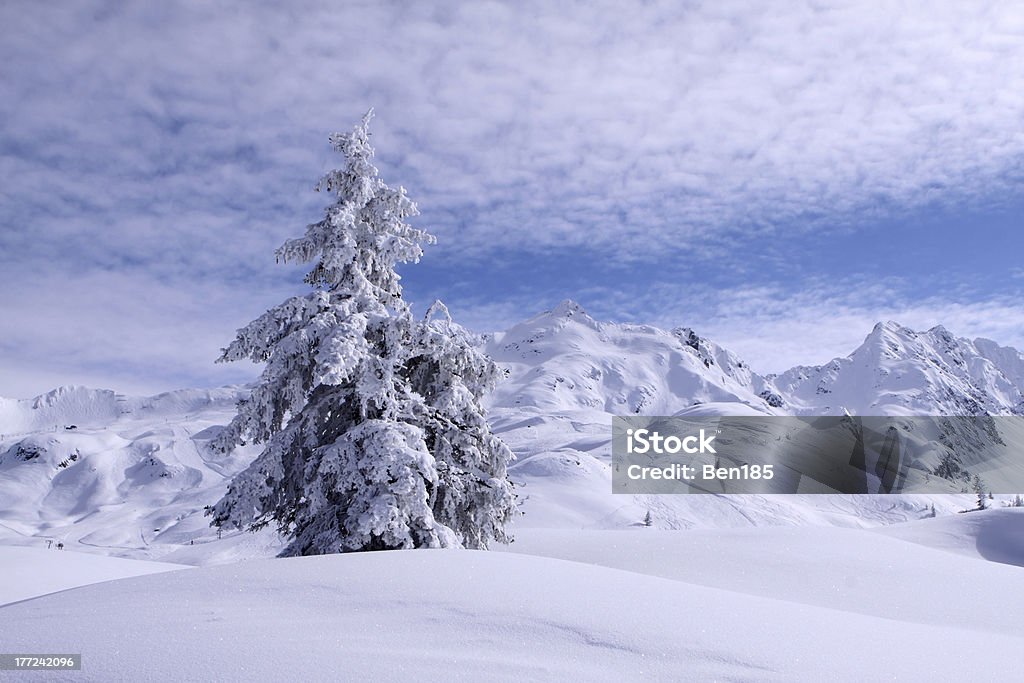 Paysage hivernal - Photo de Hiver libre de droits