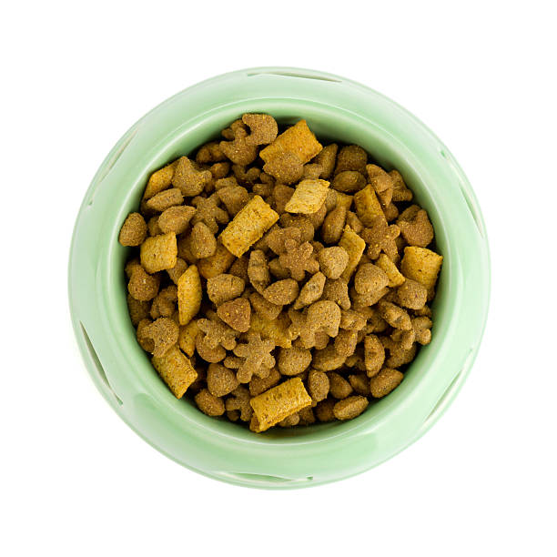 istock Cat food in a bowl 177242832