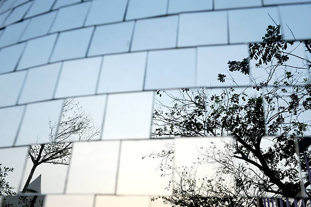 istock tree reflect in chrome cubes wall - photo no 3D 177243033