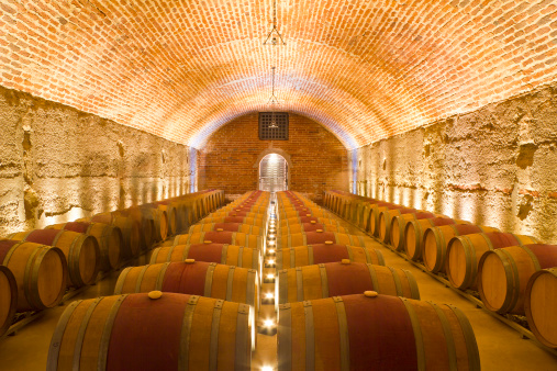 A wine cellar with rows of barrels.