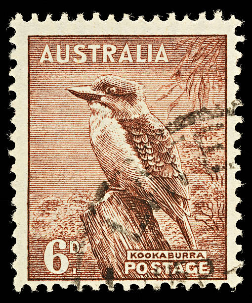 istock Australia Kookaburra Postage Stamp 177243488
