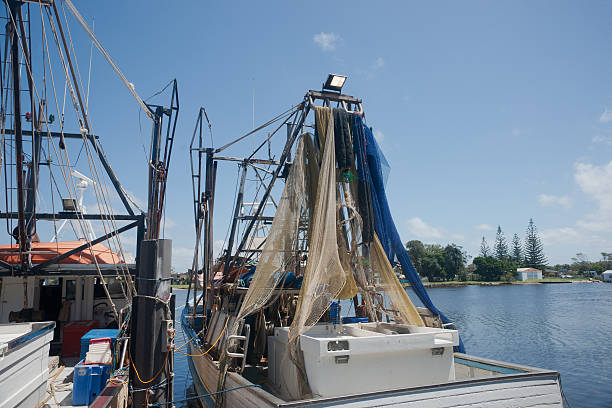 istock Prawn boats in port. 177243517