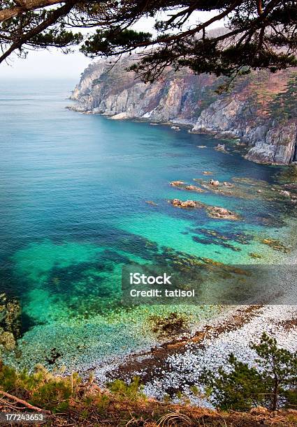 Al Mar Paisaje De La Bahía Rusia Foto de stock y más banco de imágenes de Agua - Agua, Aire libre, Asia del Este