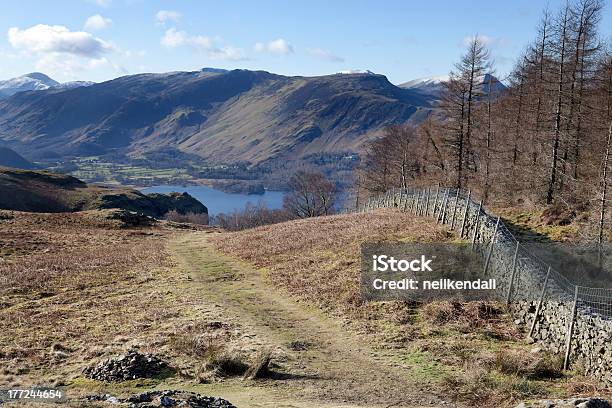 Derwentwater Dallapproccio Di Walla Cragg - Fotografie stock e altre immagini di Acqua - Acqua, Albero, Ambientazione esterna