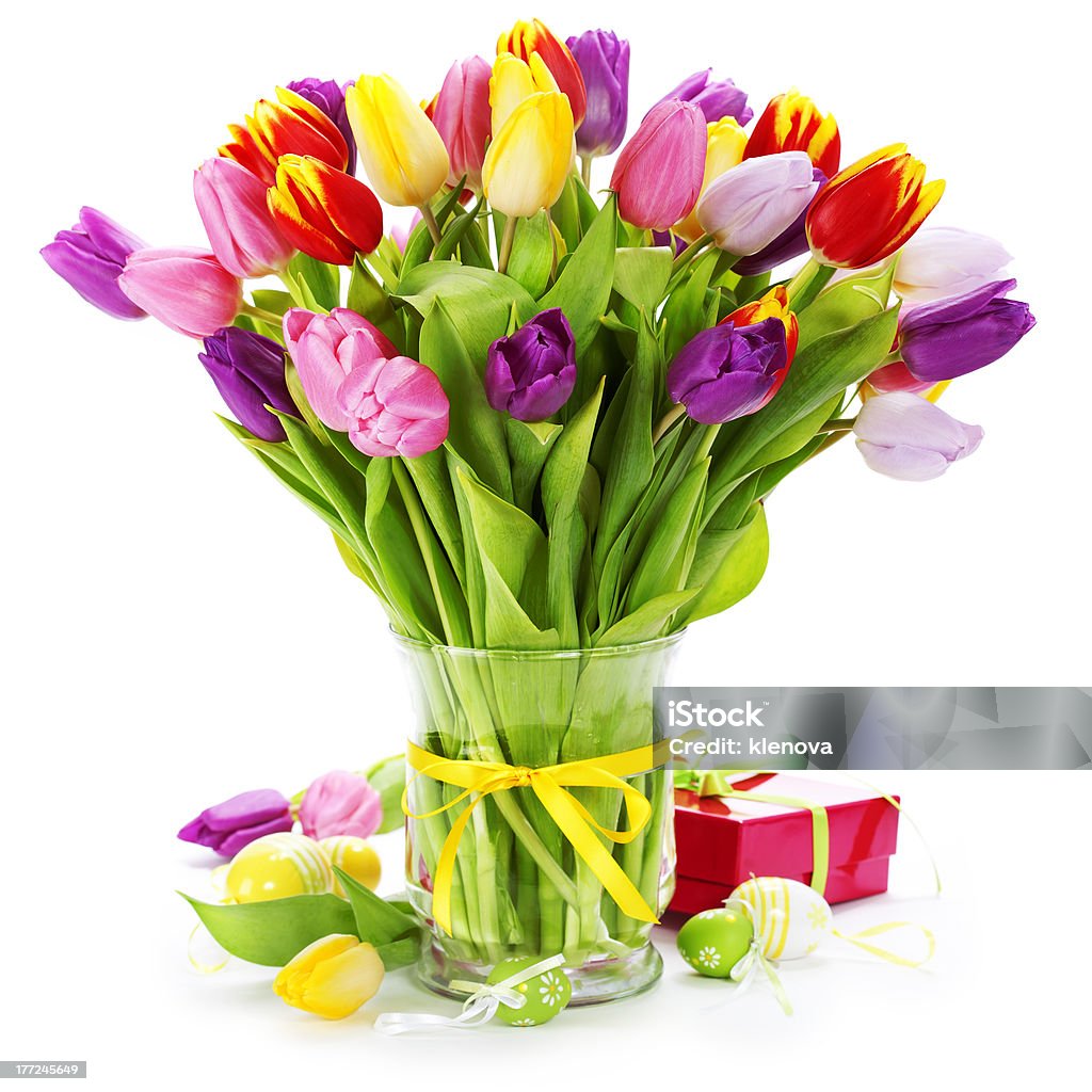 spring tulips with easter eggs spring tulips with easter eggs  on white background Blossom Stock Photo