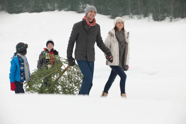 istock Smiling family dragging fresh Christmas tree in snowy field 177246145