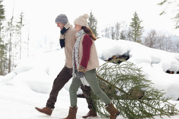 istock Happy couple dragging fresh Christmas tree in snow 177246171