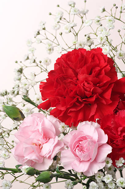 istock Red and pink Carnation Bouquet. (vertical) 177246464