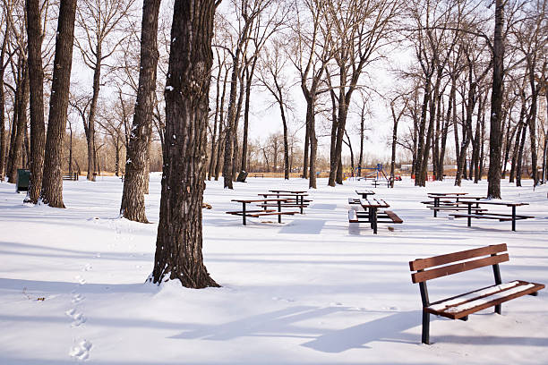 istock Picnic area in the winter snow 177246700