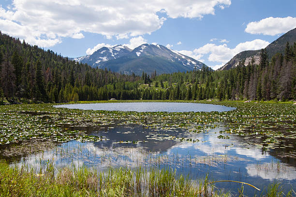 istock Cub lake in Rocky Mountains National Park, Colorado 177246830