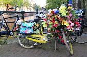 fahrr%C3%A4der-in-amsterdam.jpg?b=1&s=17