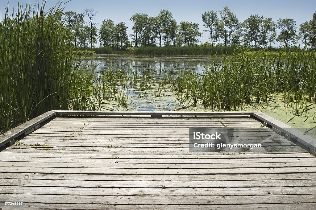 Second Marsh, Oshawa, dock at lakeside Three environmentally protected marsh areas make up a wonderful day long hiking trail in the Oshawa area of Ontario.  First and Second Marsh and a very large parcel of land, Third Marsh.     Oshawa Stock Photo