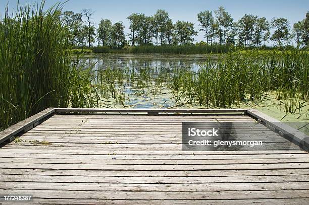 Second Marsh Oshawa Dock At Lakeside Stock Photo - Download Image Now - Oshawa, Algae, Brown