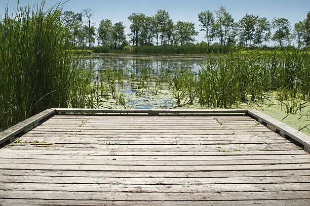 Photo of Second Marsh, Oshawa, dock at lakeside