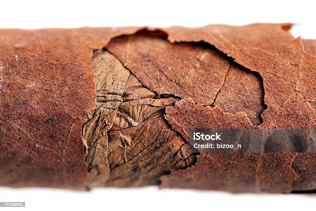 Alten Kubanische Zigarren - Lizenzfrei Blatt - Pflanzenbestandteile Stock-Foto