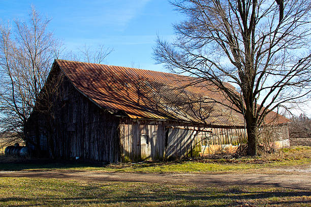 Old Barn with Tin roof and blue sky stock photo