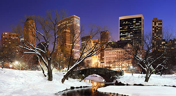 istock New York City Manhattan Central Park panorama at dusk 177250141