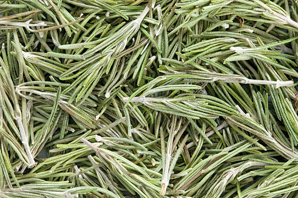 Rosemary (Rosmarinus officinalis). "Rosemary (Rosmarinus officinalis) texture, full frame background . Used as a spice in cuisines all over the world. The plant is also used in medicine." rosemary dry spice herbal medicine stock pictures, royalty-free photos & images