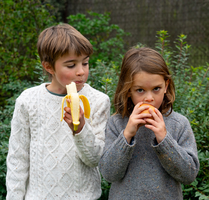 two children eating fruit (banana and apple) outdoors