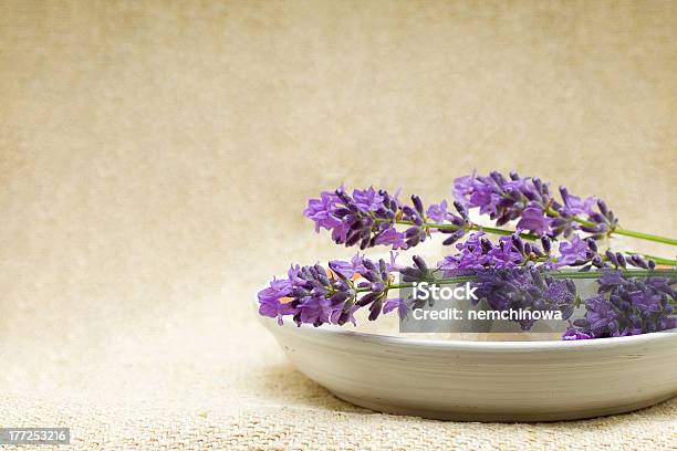 Spa Bath Salt And Lavender Herbal Treatment Stock Photo - Download Image Now - Alternative Therapy, Aromatherapy, Beauty