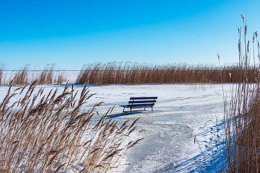 Reeds and bench on the Bodden coast in Althagen, Germany.
