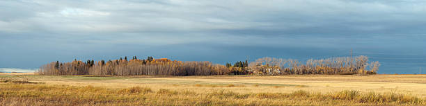 Alberta Farm in the Autumn stock photo
