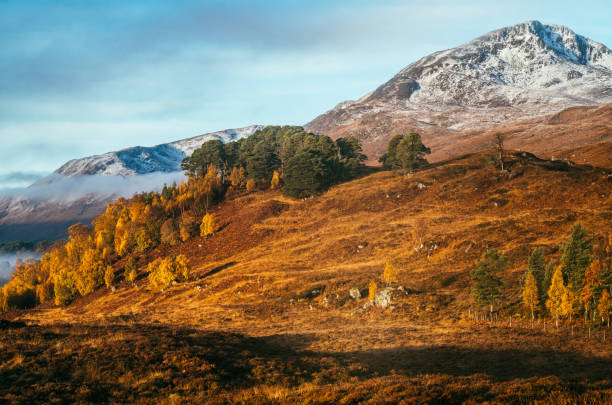 istock Loch Affric, north side, Scotland 1772539273