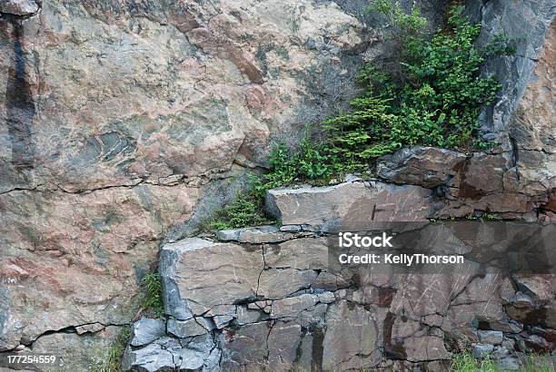 Evergreens On Rock Ledge Stock Photo - Download Image Now - Kenora, Canada, Juniper Tree