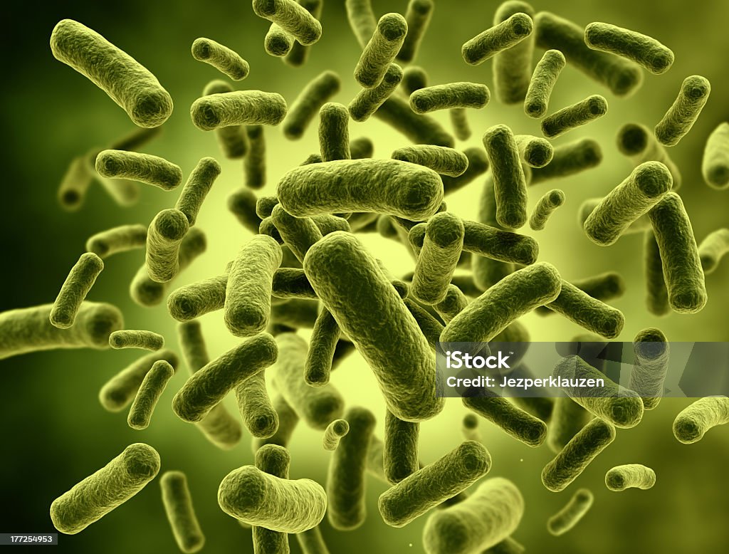 Microscopic view of green bacteria cells Large group of bacteria cells. Bacillus Subtilis Stock Photo