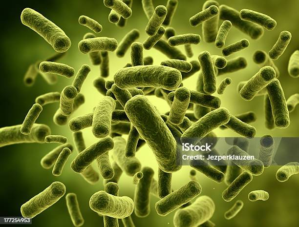 Microscopic View Of Green Bacteria Cells Stock Photo - Download Image Now - Bacillus Subtilis, Backgrounds, Bacterium