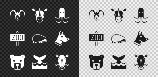 Vector illustration of Set Head of goat or ram, Rhinoceros, Octopus, Bear head, Whale tail ocean wave, Wild boar, Zoo park and Hedgehog icon. Vector