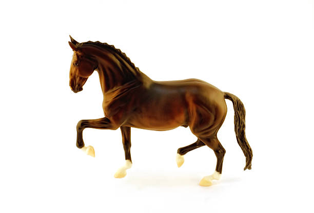 istock matt model horse breeds Hanover on a white background 177255637