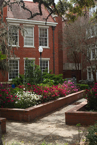 istock University of Florida Griffin-Floyd Hall 177256015