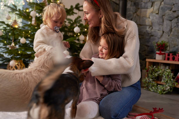 istock Family playing with dogs during Christmas time 1772561534