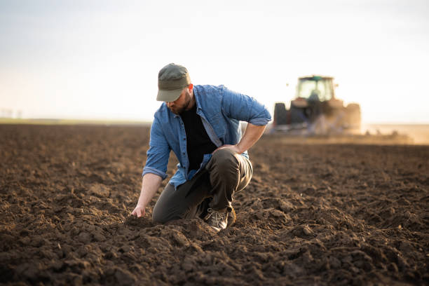 istock Farmer examing dirt while tractor is plowing field 1772567171