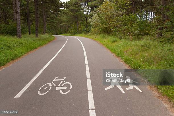 Fahrräder Und Walking Lane Im Wald Stockfoto und mehr Bilder von Asphalt - Asphalt, Baum, Einspurige Straße