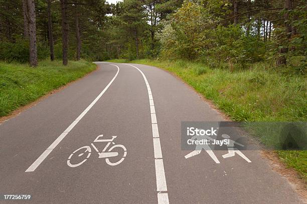 Photo libre de droit de Vélo Et De Marche Lane En Forêt banque d'images et plus d'images libres de droit de Arbre - Arbre, Bande médiane, Concepts