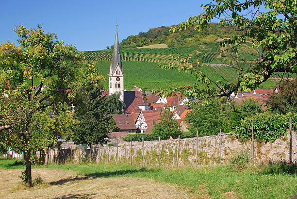 istock Kaiserstuhl,Baden,Black Forest,Germany 177257402