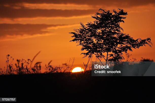 Atardecer En El Campo Foto de stock y más banco de imágenes de Aire libre - Aire libre, Cielo, Desierto