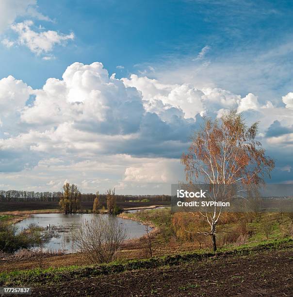 Betulla Cresce Sulle Colline - Fotografie stock e altre immagini di Acqua - Acqua, Agricoltura, Albero