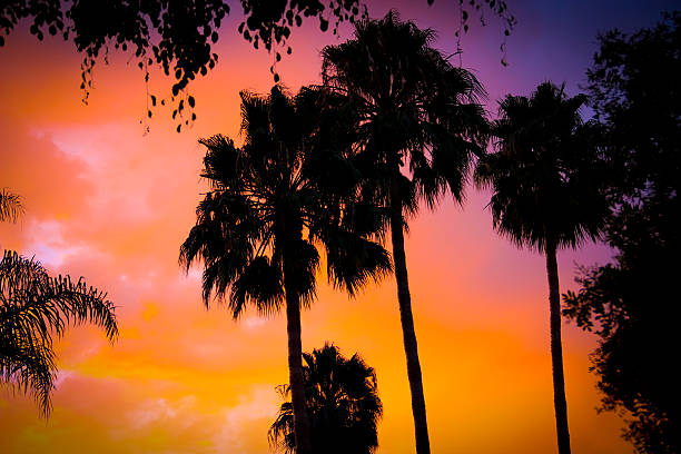 Sherbet Sunset of Los Angeles stock photo