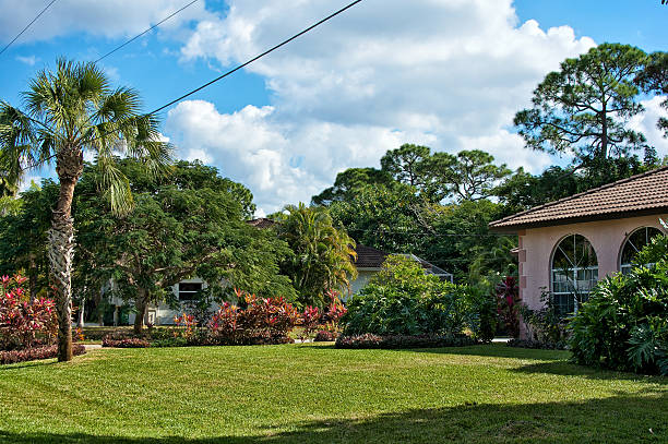 istock typical southern florida neighborhood 177257967