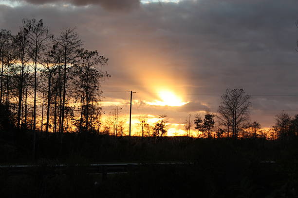 everglades sonnenuntergang - big cypress stock-fotos und bilder