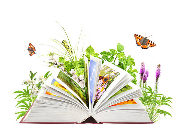 istock Book of nature 177258182