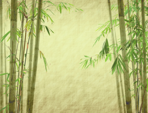 bamboo with texture of handmade paper