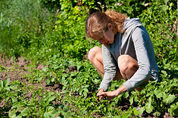 istock Young Woman on the Garden 177258830