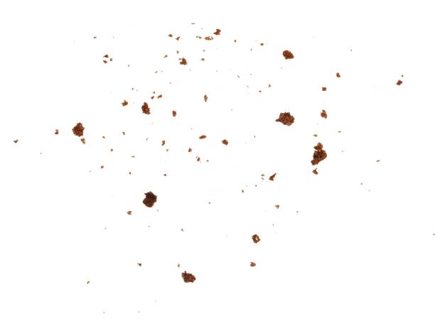 istock crumbs of chocolate biscuit element 1772589837