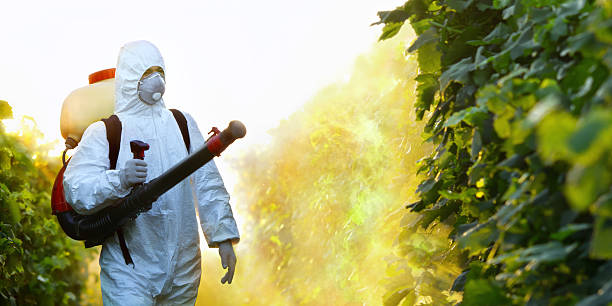 istock Man wearing white suit and protective mask spraying plants 177259297