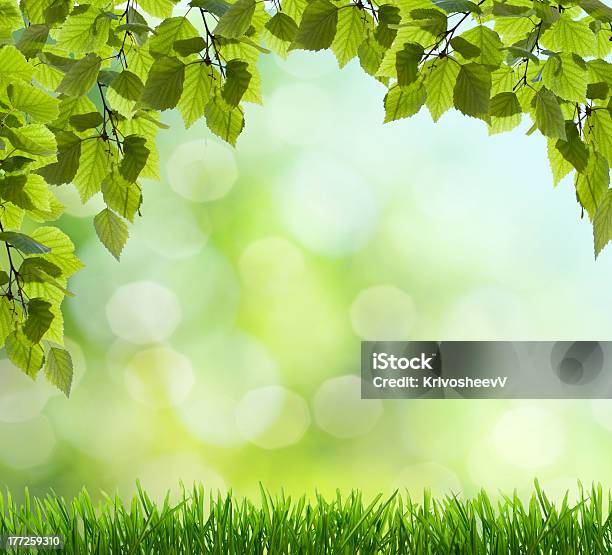 Spring Background Stock Photo - Download Image Now - Abstract, Art, Arts Culture and Entertainment